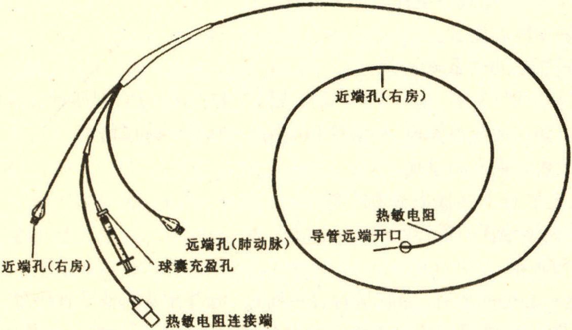 第四節(jié) 血流動(dòng)力學(xué)監(jiān)測